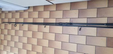 Fishing rod 12ft carp/pike rod