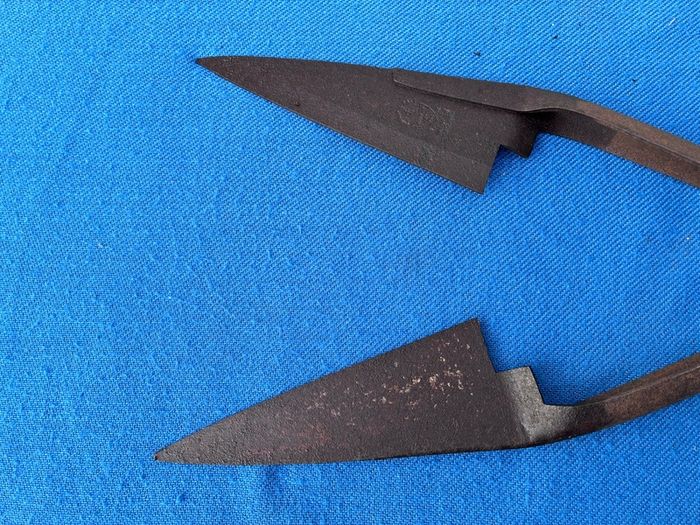Vintage sheep shears