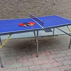 Table Tennis Table
