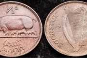 [#2149] - Ireland 1937 | Irish 1/2d | Irish Half Penny | Sow | KM.2 | High Grade