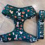 Dog harness and lead. Size S. 7 designs available. 20 euro each. Image 4