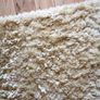 rug Image 2