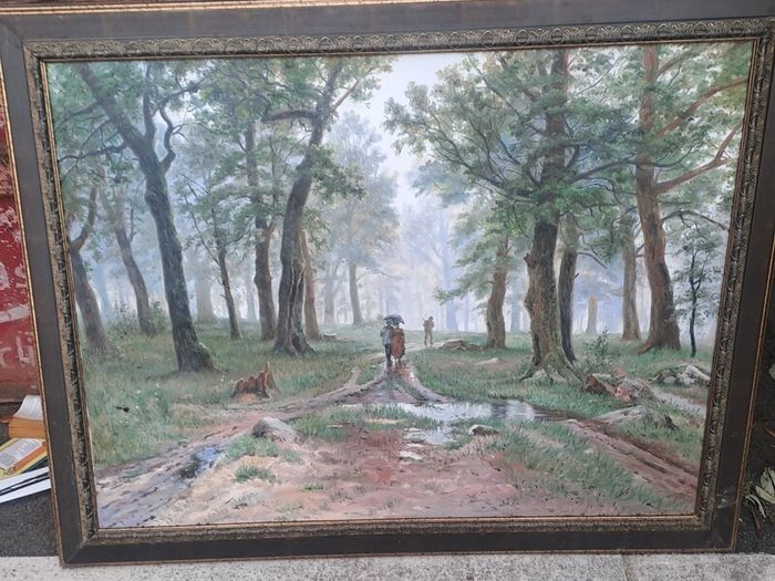 Rain in an oak forest