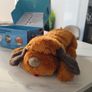 puppy Image 3