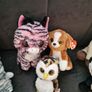 ty teddies Image 3