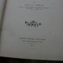 Bible Stories From the Beginning. Stories From Genesis. Morton, G E Image 5