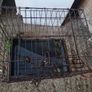Animal Crate Image 2