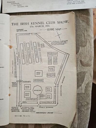Catalogues Of The 10th & 11th Irish Kennel Club Shows 1931-32. Plus To Stud Cards For Dogs. Paperbacks In Only Fair Condition.  See Photos For Same.