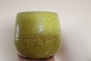pot