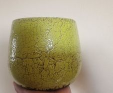 pot