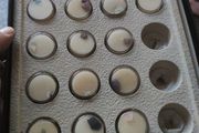 Treasures of the earth full box of 20 mineral gem semi precious stone specimens