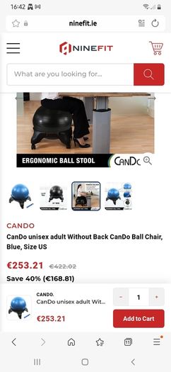 Office Yoga Ball Chair