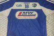 Laois Gaa Jersey