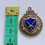 Vintage Silver enameled Hurling GAA medal 1955 M Roche Jewellers Cork see all photos FREE STANDARD POSTAGE INCLUDED Image 5