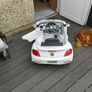 Volkswagen Beetle kids car Image 3