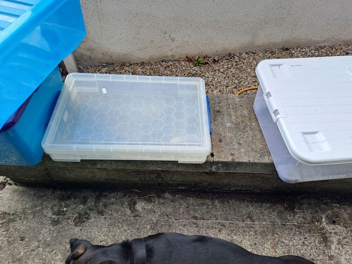 Plastic storage boxes