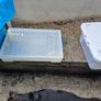 Plastic storage boxes Image 3