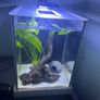 Fluval spec Image 3