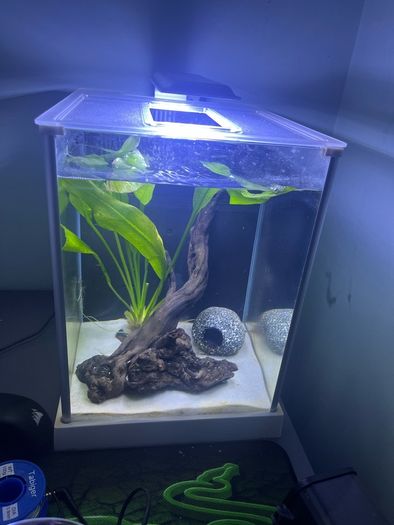 Fluval spec