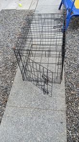 dog cage