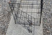 dog cage