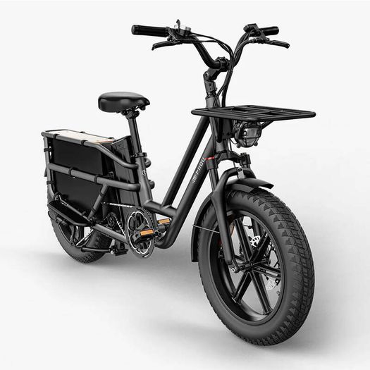 FIIDO T2 Longtail Cargo Electric Bike