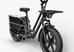 FIIDO T2 Longtail Cargo Electric Bike
