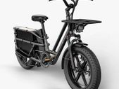 FIIDO T2 Longtail Cargo Electric Bike