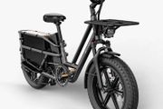 FIIDO T2 Longtail Cargo Electric Bike