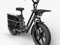 main image for ad FIIDO T2 Longtail Cargo Electric Bike