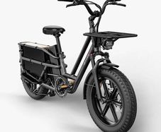 FIIDO T2 Longtail Cargo Electric Bike
