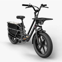 FIIDO T2 Longtail Cargo Electric Bike