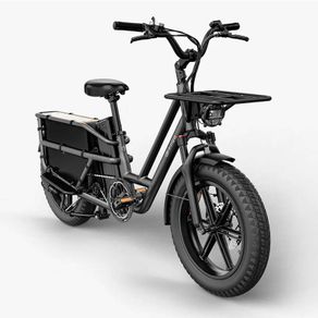 FIIDO T2 Longtail Cargo Electric Bike