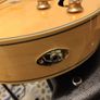 Epiphone Broadway Hollow body Guitar Image 5