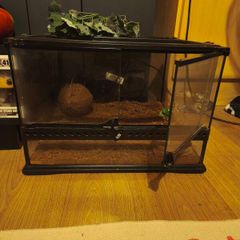 Leopard Gecko Starter Kit