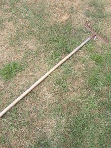 Garden rake