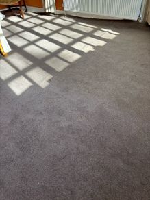 carpet