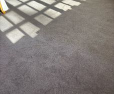 carpet