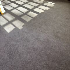 carpet