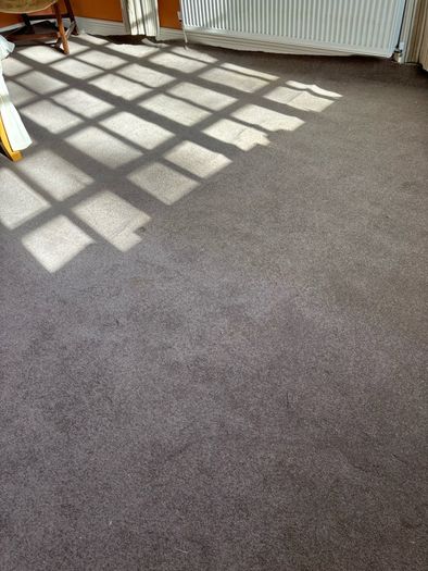 carpet