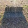 Small Bales of Hay Image 3