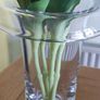 Tall Glass Vase Image 3