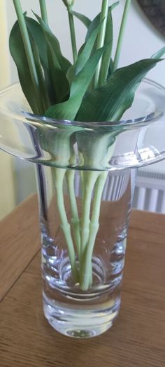 Tall Glass Vase