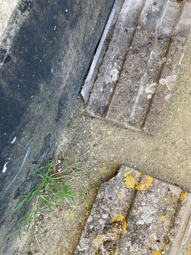 roof slates