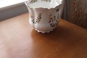 ceramic flower pot