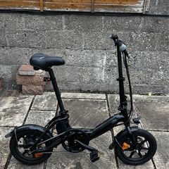 Fiido D3 Pro Mini Electric Bike