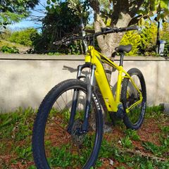 Electric bike