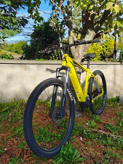 Electric bike