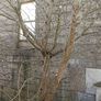 Old Grain Store Buuilding Image 6