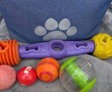 Dog Toy Bundle